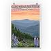 Bears and Spring Flowers - Great Smoky Mountains National Park, TN (9x12 Art Print, Wall Decor Travel Poster)
