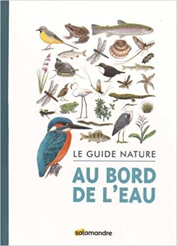 Le Guide nature au bord de l'eau (Salamandre adulte) (French Edition) by Collectif