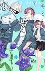 キミと越えて恋になる 第7巻
