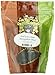 English Tea Store Loose Leaf, Earl Grey Cream Tea Pouches - Metropolitan Blend, 4 Ounce
