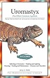 Uromastyx: Plus Other Common Agamids