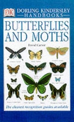 Types Of Moths And Butterflies