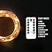 Lighting EVER Fairy Lights, 33ft 100 LED Copper Wire String Lights, Dimmable with Remote/Timer, USB Powered, IP65 Waterproof, Decorative Twinkle Light for Party, Wedding, Garden and More