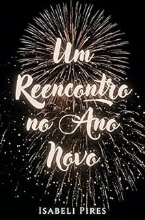 Livro Um reencontro no Ano Novo
