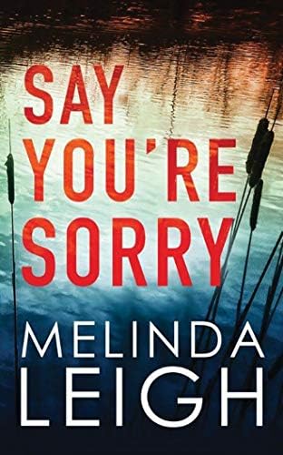 Say You're Sorry (Morgan Dane Book 1)