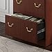 Bush Furniture Saratoga 2 Drawer Lateral File Cabinet in Harvest Cherry, Document Storage Chest for Home Office