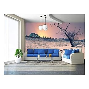Vintage Picture. Night Winter Landscape with a Lonely Tree Near Creek in Moonlight - Removable Wall Mural | Self-Adhesive Large Wallpaper - 66x96 inches