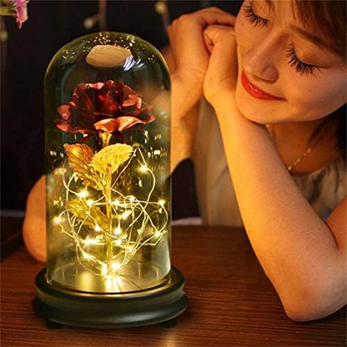 Anpay Beauty and The Beast Rose 24K Gold Plating Rose Flower in a Glass Dome with LED Light String Gift Women Girls on Birthday Valentine's Day Mother's Day Christmas Holiday