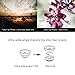 bitplay 2 in 1 Ultra 0.39X Wide Angle + 6X Macro Add-on Lens for Smartphones