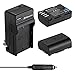 Powerextra 2 Pack High Capacity Replacement Battery and Charger Compatible with Panasonic DMW-BLF19, DMW-BLF19E, DMW-BLF19PP and Panasonic Lumix DC-GH5, DMC-GH3, DMC-GH3K, DMC-GH4, DMC-GH4K