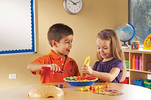 Learning Resources Super Sorting Pie, 63 Pieces