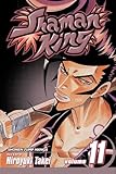 Shaman King, Vol. 11 (v. 11)
