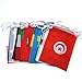 AOSTAR 2018 World Cup Flags Banner, 5.5