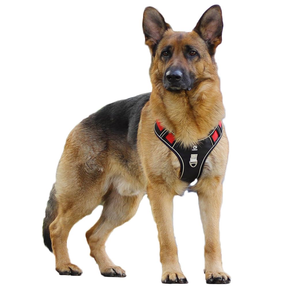 Coogime Breathable Dog Harness, No Pull Chest Harness, Reflective Stripes Harness for Dogs, Safe Puppy Harness, Adjustable, Soft (red, M)