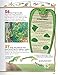 100 Facts Reptiles & Amphibians- Herpetology, Educational Projects, Fun Activities, Quizzes and More!