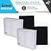 Idylis Part # IAF-H-100B for Idylis IAP-10-125 and IAP-10-150 Models, Comparable 1 B HEPA and 1 Carbon Filter. A Home Revolution Brand Quality Aftermarket Replacement 4PK