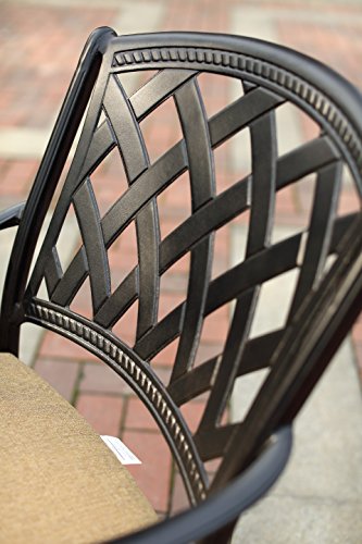 Darlee 201630-7CH-2 Cast Aluminum Swivel Counter Height Bar Stool & Seat Cushion (Set of 2), Antique Bronze