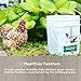 Grubblies - Chicken Feed Supplement with 50x Calcium, Black Soldier Fly Larvae Chicken Snack, Natural Grubs for Chickens, Hens, Grown in The USA & CA, Love Tub
