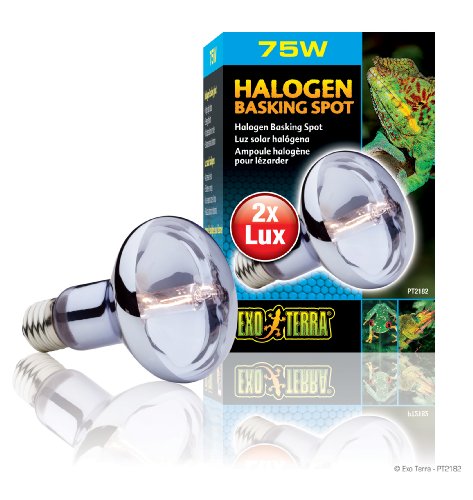 Exo Terra 75W Daylight Halogen Lamp - Image 3
