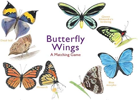 Butterfly Wings: A Matching Game