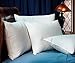 Pacific Coast Touch of Down Standard Pillow Set (2 Standard Pillows)