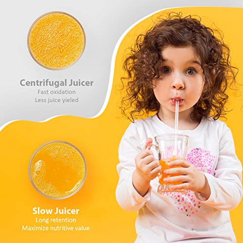 Juicer Machines, Vestaware Slow Masticating Juicer Extractor, Easy to Clean Juicer with Quiet Motor, BPA-Free Cold Press Juicer for Vegetables and Fruits - Thumbnail 4