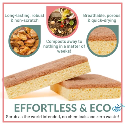 bioGo 12 Biodegradable Sponges Kitchen Eco Reusable Cellulose Sponges