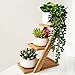 Supla 9 Pcs faux succulents unpotted Vinyl Artificial Succulent Galanthus Cactus Plants Artificial Plants 3 Colors fake succulents Flower Arrangement Craft Making