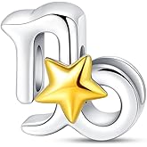 CYCUFF Zodiac Signs Charms 925 Silver Charms for Bracelets Necklace Jewellery Birthday Gift for Women Family Friends