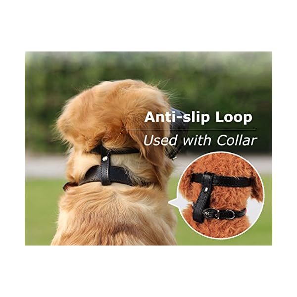 barkless dog muzzle