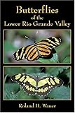 Butterflies of the Lower Rio Grande