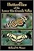 Butterflies of the Lower Rio Grande - Roland H Wauer