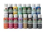 Apple Barrel Multi-Surface Paint Set, 16 Piece (2-Ounce), PROMOABMS1 Best Selling Colors