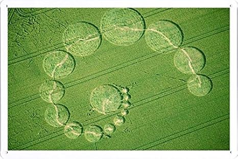 Amazon Co Jp ミステリーサークルのティンサイン 金属看板 ポスター Tin Sign Metal Poster Of Crop Circles ホーム キッチン