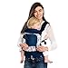 LÍLLÉbaby 4-in-1 Essentials All Seasons Ergonomic Baby & Child Carrier, Seven Seas - Cotton