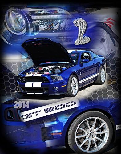 2014 GT500