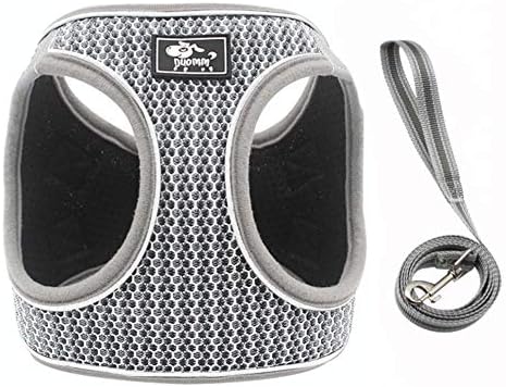 Dog Cat Harnesses with Leash (Grey, S (Chest:11”-14”))