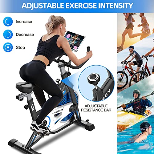 LABGREY Exercise Bike Indoor Cycling Bike Stationary Cycle Bike with