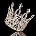 Stuffwholesale 4inch Height Floral Full Crown Rhinestone Crystal Tiara Bridal Wedding Hair Accessory (Rose Gold)
