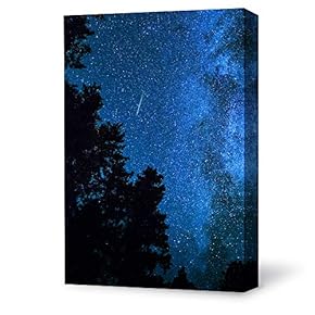 Canvas Wall Art Bright Moon Shining...
