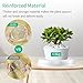 EFFECTEER Plant Saucer, 5 Pack, 15 inch, Round Plant Trays for Indoors, Clear Plastic Plant Pot Saucers, Durable Flower Pots with 5 Plant Labels (15” – 5 Pack)thumb 3