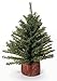 Mixed Pine Tree with Wood Base - 106 Tips - 9 inches