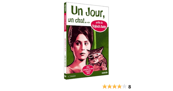 Amazon Com Un Jour Un Chat Movies Tv