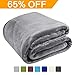 MEROUS Soft Queen Size Fleece Bed Summer Blanket 330 GSM Warm Cozy Microfiber Fuzzy Lightweight All Season Blankets for Couch Travel Sofa,Gray