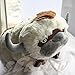 The Last Airbender 20 Inch Appa Avatar Plush Doll Toy By Fantastic House