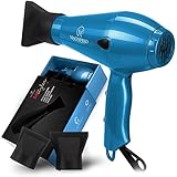 1875W Professional Hair Dryer with Ionic Conditioning - Powerful, Fast Dry Blow Dryer - 2 Speeds, 3 Heat Settings Blue hairdryer