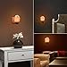 Unilamp Himalayan Salt Lamp Natural Crystal Salt Lamp Night Light with 4 Bulbs, Hand Carved Salt Rock Lamp with UL-Approved Wall Plug for Air Purifying, Home Decor and Ideal Gift, 2 Pack