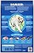 IAMS PROACTIVE HEALTH Large Breed Senior Plus Dry Dog Food 26.2 Pounds