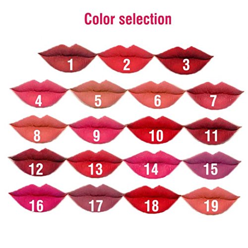 Sunward 5PCS Waterproof Long Lasting Lipstick Pen + 1PC Pencil Sharpener (B)