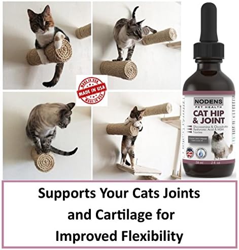 chondroitin for cats